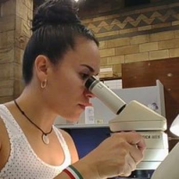 Dra. Sara Rivera-Gasperín